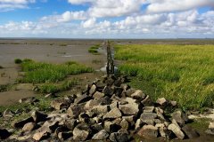 Beliebtester Ferienhof Deutschland S-H SH Schleswig-Holstein Natururlaub Bauernhofurlaub Dithmarschen Nordfriesland Ostfriesland Friedrichskoog Büsum Sankt Peter-Ording Kinderbauernhof Urlaub mit Kindern Urlaub auf dem Bauernhof Kinderferienhof Familienbauernhof Ferienwohnung Nordsee Ferienhof Wittmaack Nordseeküste Nordseeinseln Friesische Küste