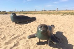 Seehunde beliebtester Ferienhof 2021 Schleswig-Holstein S-H SH Deutschland Nordsee Bauernhofurlaub Bauernhofferien Familienurlaub Friedrichskoog Familienbauernhof Büsum Familienferienhof St. Peter-Ording Kinderbauernhof Nordfriesland Kinderferienhof Urlaub mit Kleinkindern Ferienwohnungen Landreise.de Streicheltiere Hühner Stallhasen Traktorfahren