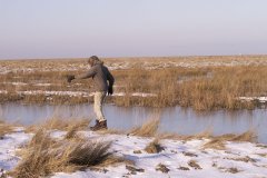 Beliebtester Ferienhof 2021 Schleswig-Holstein Bauernhofurlaub in Friedrichskoog Familienbauernhof Büsum Familienferienhof Dithmarschen S-H SH Kinderferienhof Büsum Nordfriesland St. Peter-Ording Kinderbauernhof Ferienwohnungen Familienurlaub am Meer mit Kindern Kleinkindern Wattspaziergang Nordsee Ferienhof Wittmaack