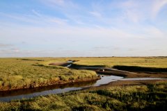 Nordsee Ferienhof Wittmaack Friedrichskoog Bauernhofurlaub beliebtester Ferienhof Schleswig-Holstein Kinderbauernhof Büsum Familienferienhof Dithmarschen Kinderferienhof Nordfriesland Familienbauernhof Nordseeküste Meer Ferienwohnungen Nordsee Ferienhof Wittmaack Ponys Streicheltiere Urlaub am Meer Familienurlaub mit Kleinkind