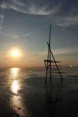 Wattlaufen im Sonnenuntergang vor Friedrichskoog-Spitze - Bauernhofurlaub am Nordsee Ferienhof Wittmaack Ferienwohnungen in Friedrichskoog Dithmarschen Nordfriesland Büsum St. Peter-Ording Kinderferien Hofurlaub beliebtester Ferienhof Schleswig-Holstein 2021 Landreise.de