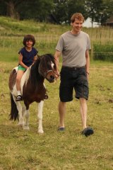 Beliebtester Ferienhof Schleswig-Holstein Landreise.de S-H SH Nordsee Ferienhof Wittmaack Dithmarschen Nordfriesland Nordseeküste Friedrichskoog Büsum Ferienwohnung Bauernhofurlaub Kinderbauernhof Schwimmbad Familienferienhof Ostfriesland