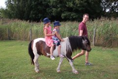 geführtes Ponyreiten beliebtester Ferienhof Schleswig-Holstein Bauernhofurlaub in Friedrichskoog Nordsee Nordseeküste Dithmarschen Büsum Nordfriesland Ponys St. Peter-Ording Ferienwohnung Bauernhofurlaub Bauernhofferien Nordseeurlaub Familienferien Familienurlaub