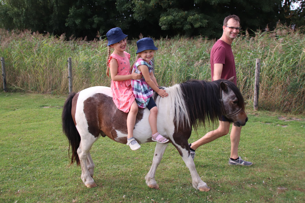 Pony Pedro Pony Pedro
