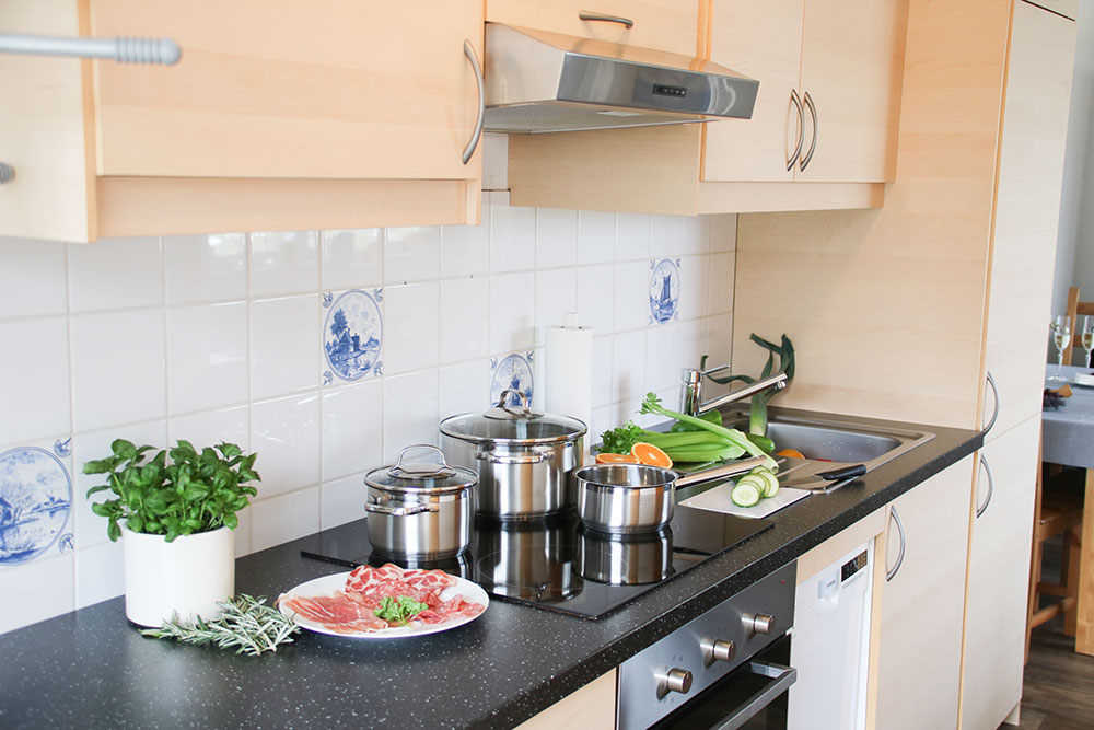 Ferienwohnung Silbermöwe Nordsee Ferienhof Wittmaack mit beliebtester Ferienhof an der Nordsee Urlaub auf dem Bauernhof in Friedrichskoog Dithmarschen Kinderbauernhof Nordsee Kinderurlaub Familienurlaub